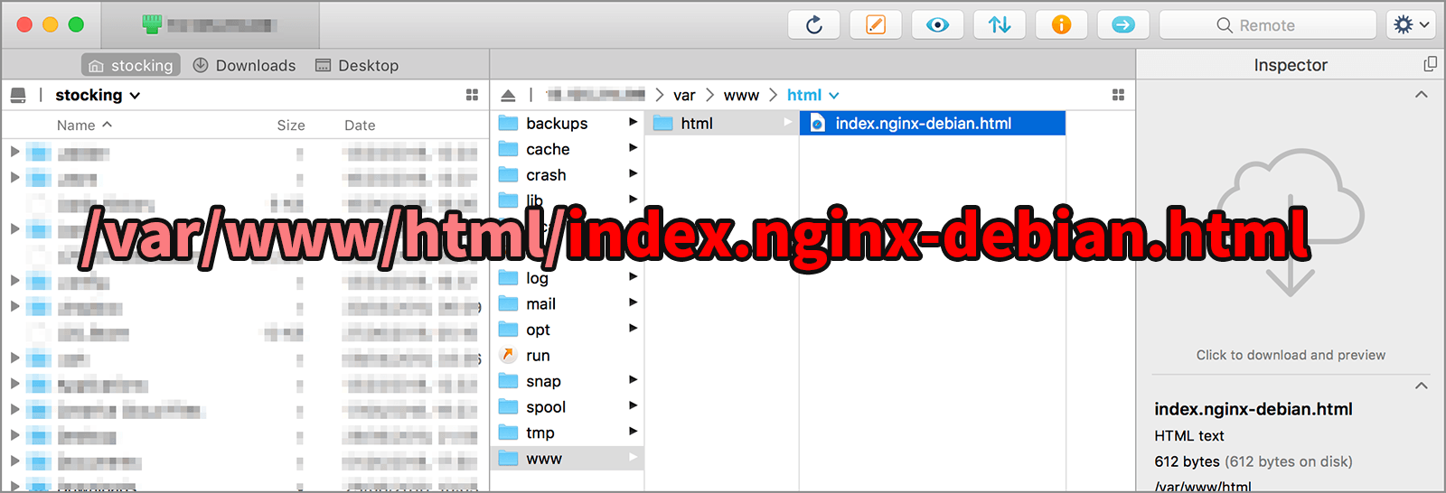 index.nginx-debian.html 파일의 위치