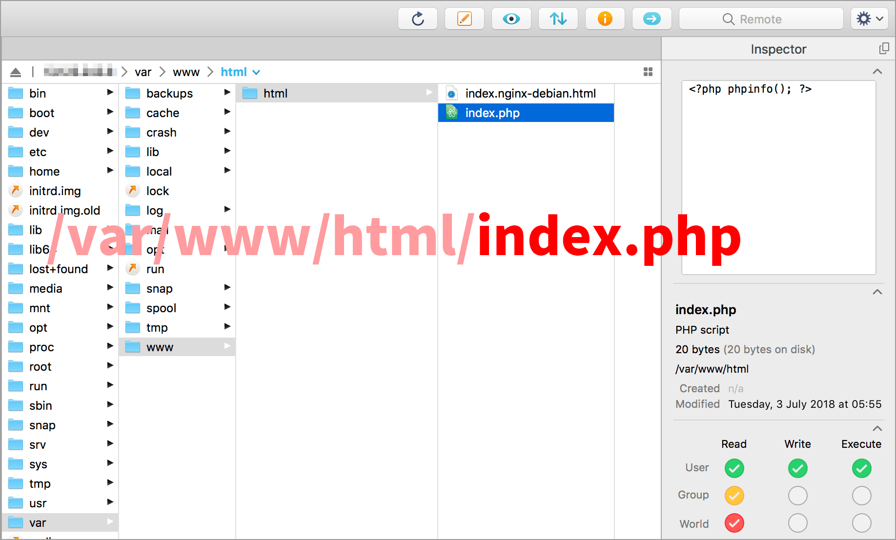 index.php 파일을 만들었다