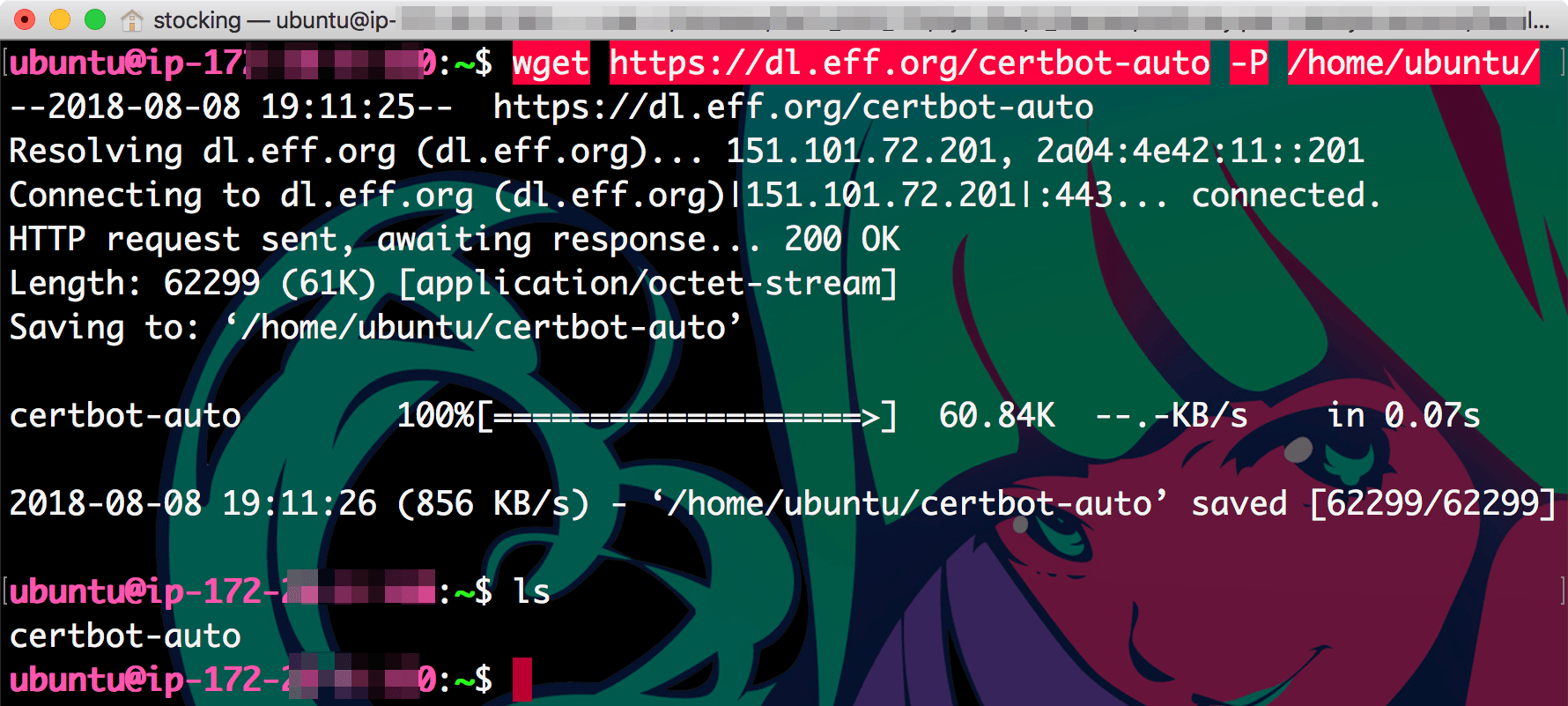 wget 리눅스 명령어를 이용해 certbot-auto 다운로드 완료 - certbot-auto saved