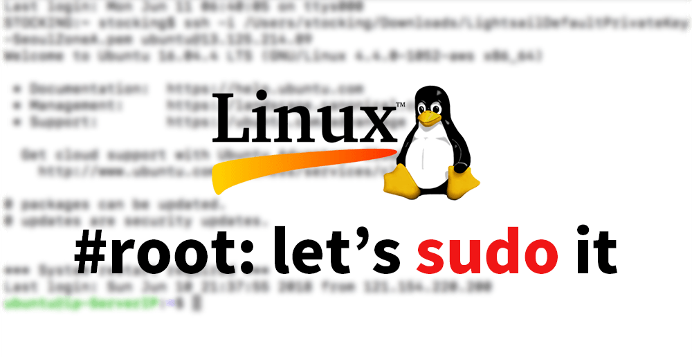linux root: sudo it