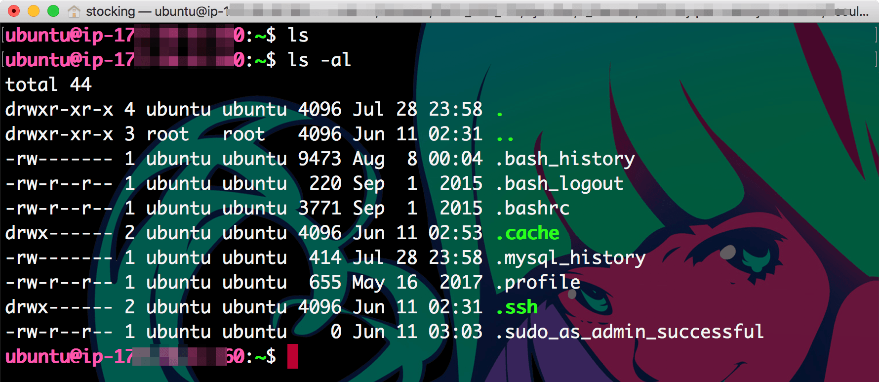 CLI에서 ubuntu 홈폴더에서 ls 명령어로 내용물을 살펴보았다